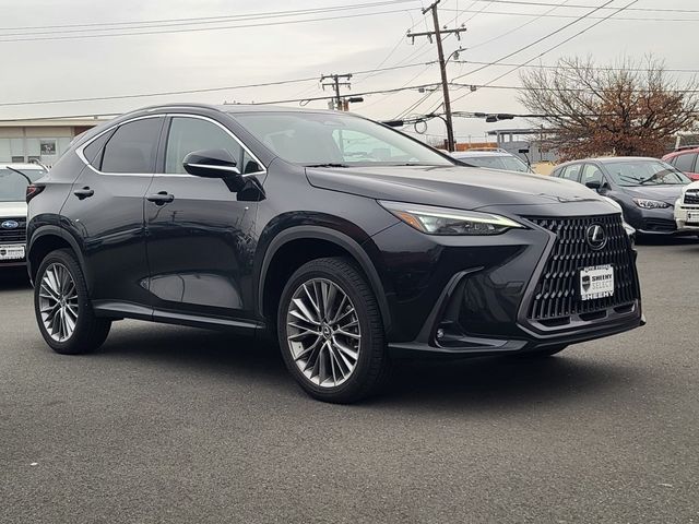 2022 Lexus NX 350h Premium