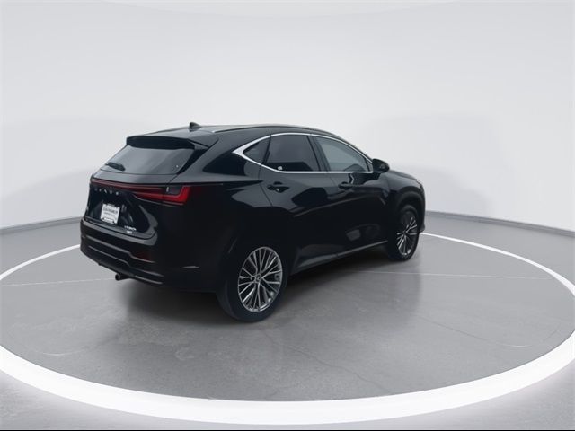 2022 Lexus NX 350h Premium