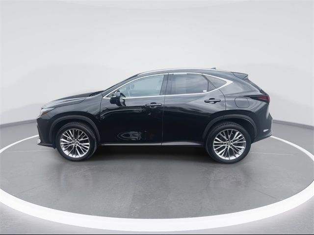 2022 Lexus NX 350h Premium