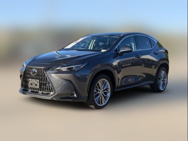 2022 Lexus NX 350h Premium