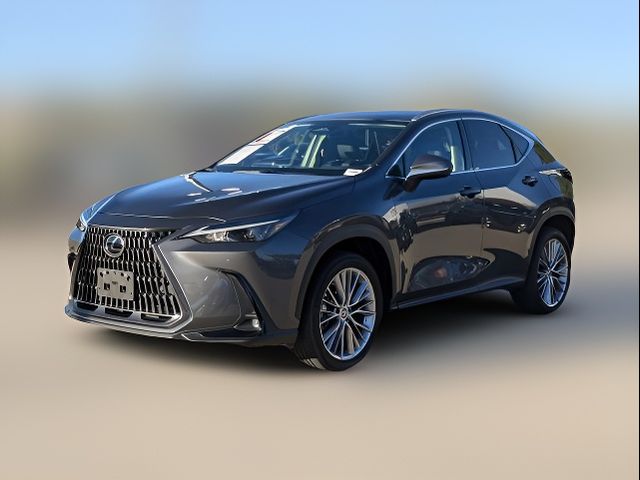 2022 Lexus NX 350h Premium