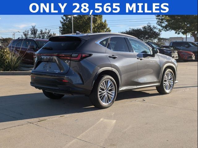 2022 Lexus NX 350h Premium