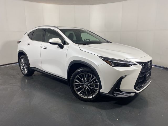 2022 Lexus NX 350h Premium