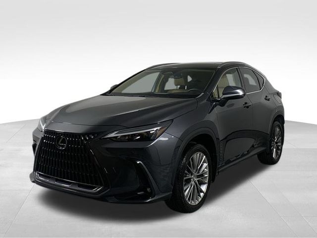 2022 Lexus NX 350h Premium