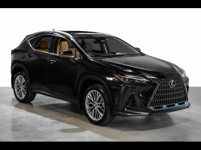 2022 Lexus NX 350h Premium