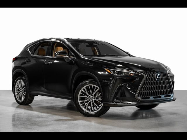 2022 Lexus NX 350h Premium