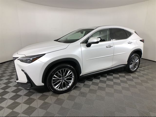 2022 Lexus NX 350h Premium