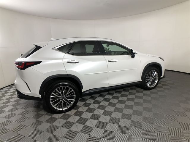 2022 Lexus NX 350h Premium