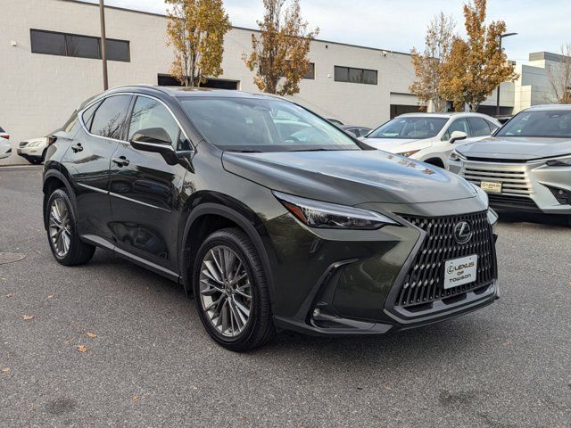 2022 Lexus NX 350h Premium