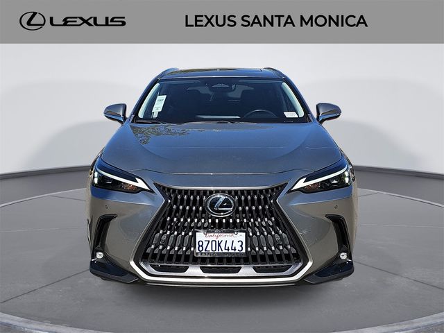 2022 Lexus NX 350h Premium