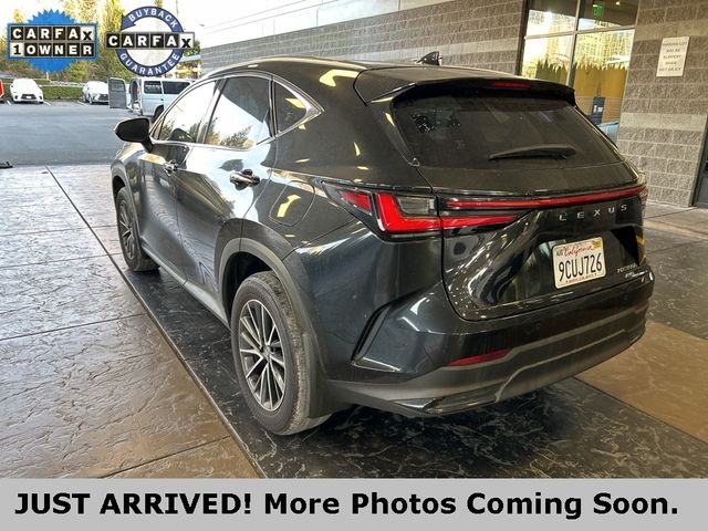 2022 Lexus NX 350h Premium