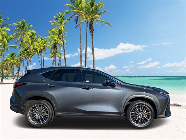 2022 Lexus NX 350h Premium