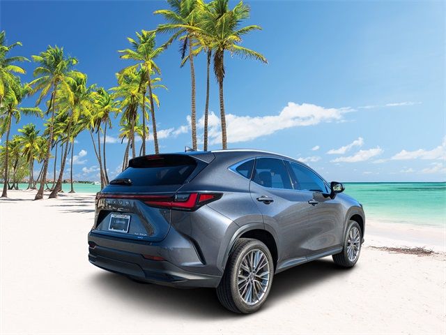 2022 Lexus NX 350h Premium