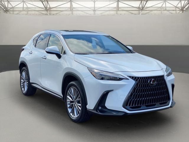 2022 Lexus NX 350h Premium