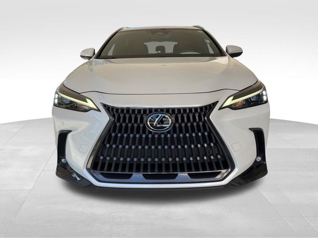 2022 Lexus NX 350h Premium