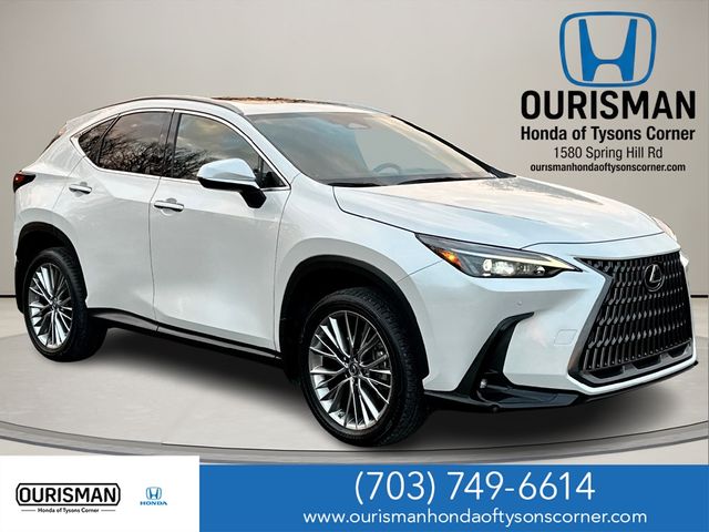 2022 Lexus NX 350h Premium