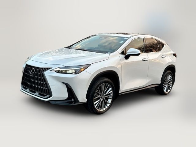 2022 Lexus NX 350h Premium