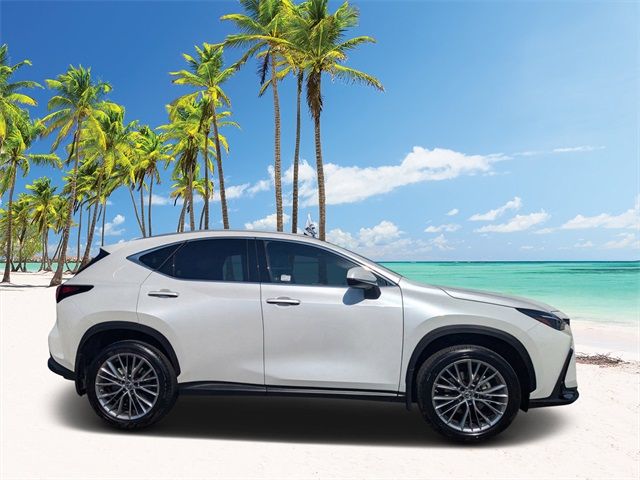 2022 Lexus NX 350h Premium