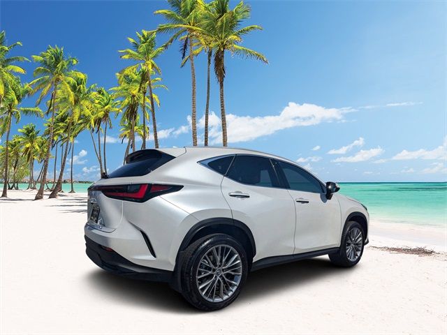 2022 Lexus NX 350h Premium