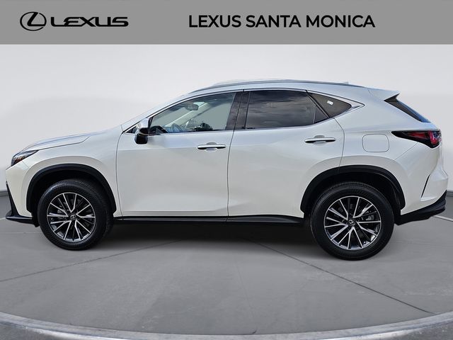 2022 Lexus NX 350h Premium