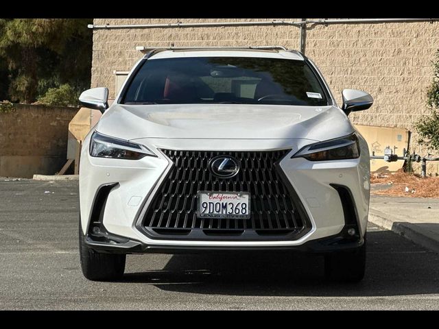 2022 Lexus NX 350h Premium