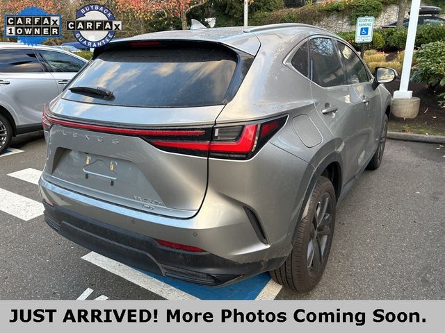 2022 Lexus NX 450h+ Luxury