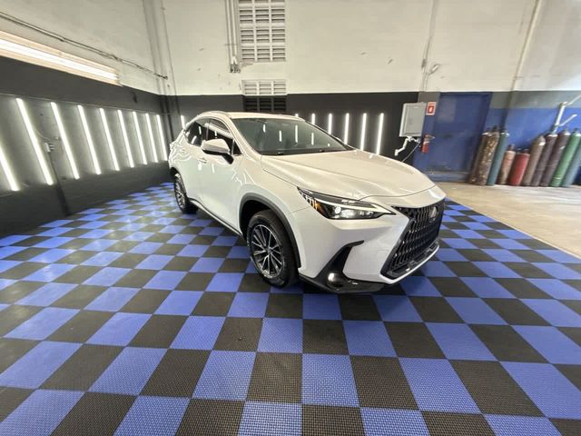 2022 Lexus NX 250