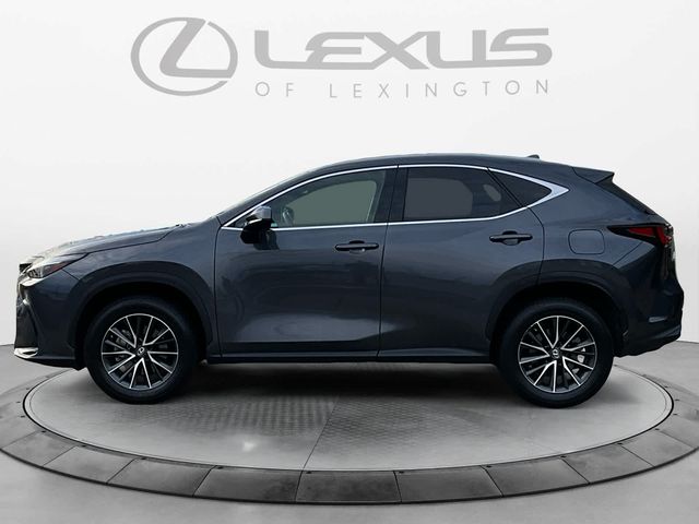 2022 Lexus NX 350