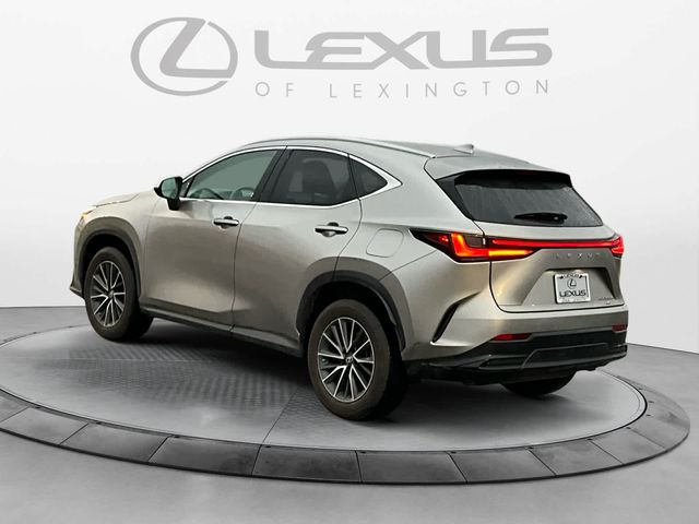 2022 Lexus NX 350h