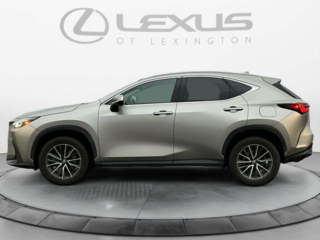 2022 Lexus NX 350h