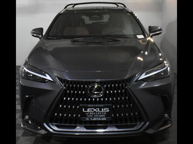 2022 Lexus NX 350h