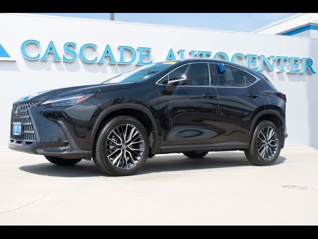 2022 Lexus NX 350 Premium