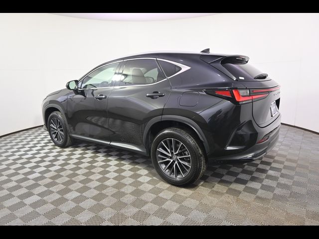 2022 Lexus NX 350 Premium