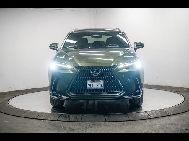 2022 Lexus NX 250