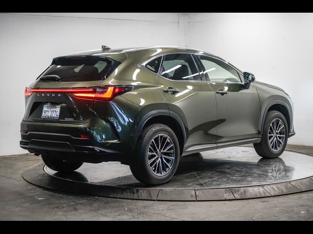 2022 Lexus NX 250