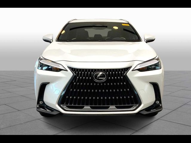 2022 Lexus NX 250