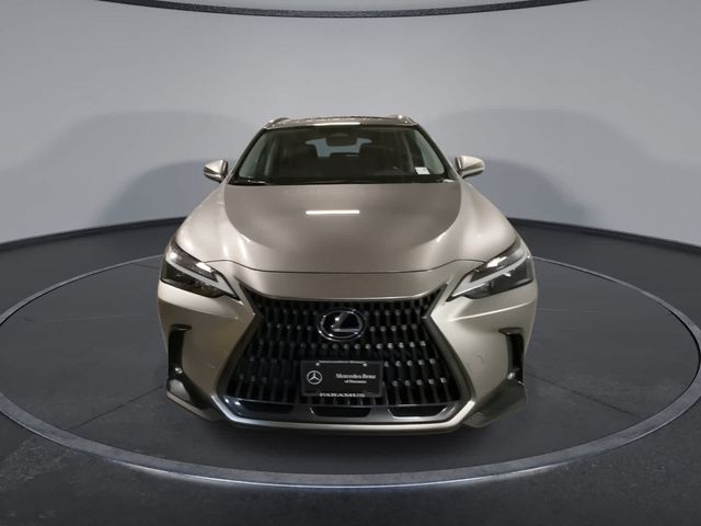 2022 Lexus NX 350