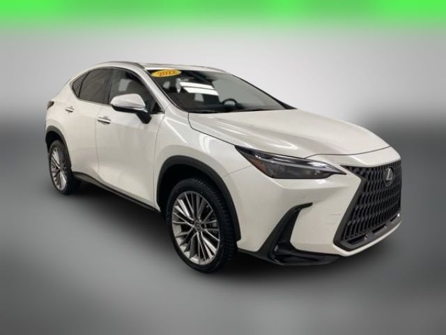 2022 Lexus NX 350 Premium