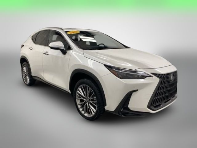 2022 Lexus NX 350 Premium