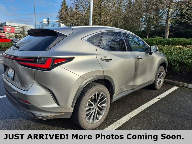 2022 Lexus NX 350 Premium