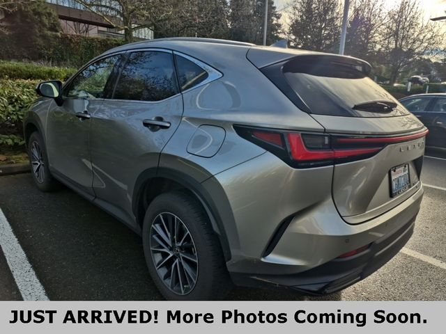 2022 Lexus NX 350 Premium