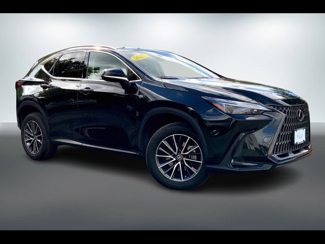 2022 Lexus NX 350 Premium