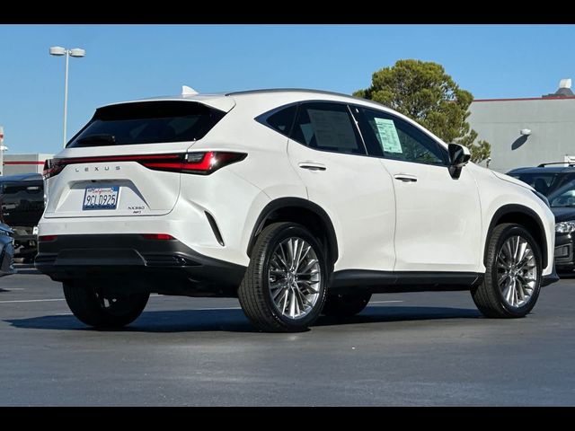 2022 Lexus NX 350 Luxury