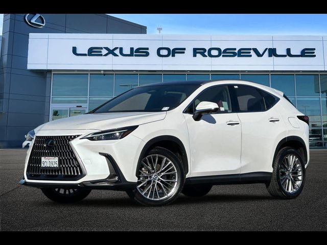 2022 Lexus NX 350 Luxury