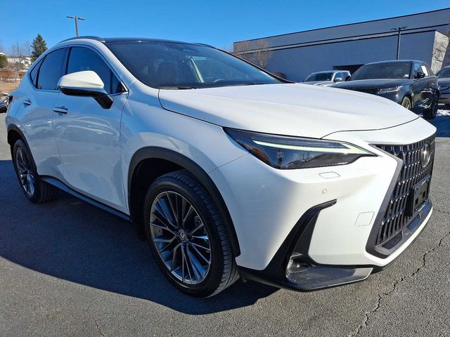 2022 Lexus NX 350 Luxury