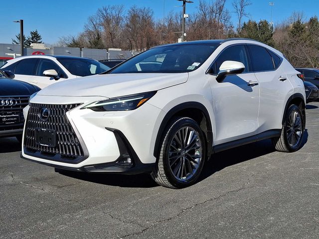 2022 Lexus NX 350 Luxury