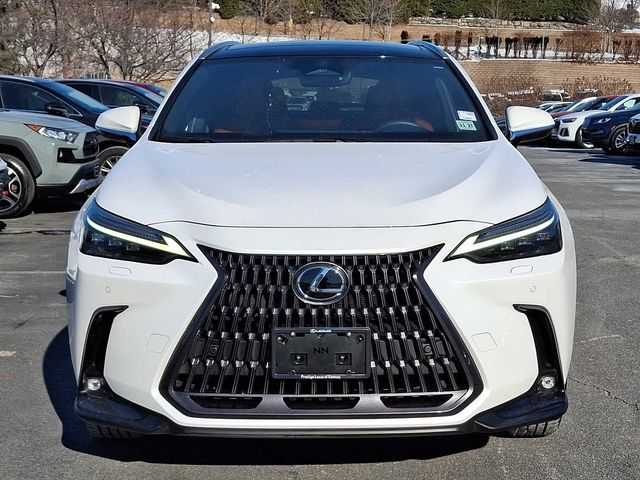 2022 Lexus NX 350 Luxury