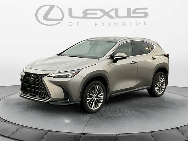 2022 Lexus NX 350h Luxury