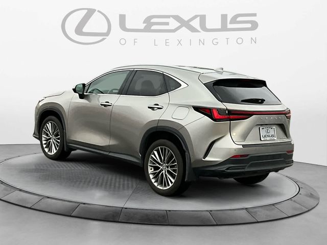 2022 Lexus NX 350h Luxury