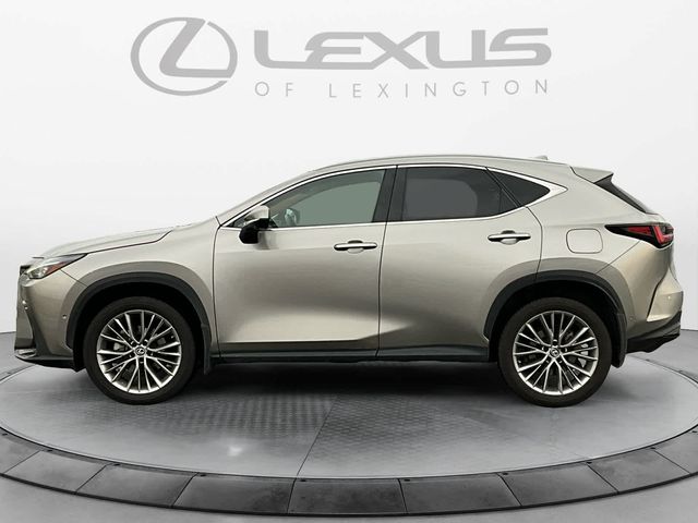 2022 Lexus NX 350h Luxury